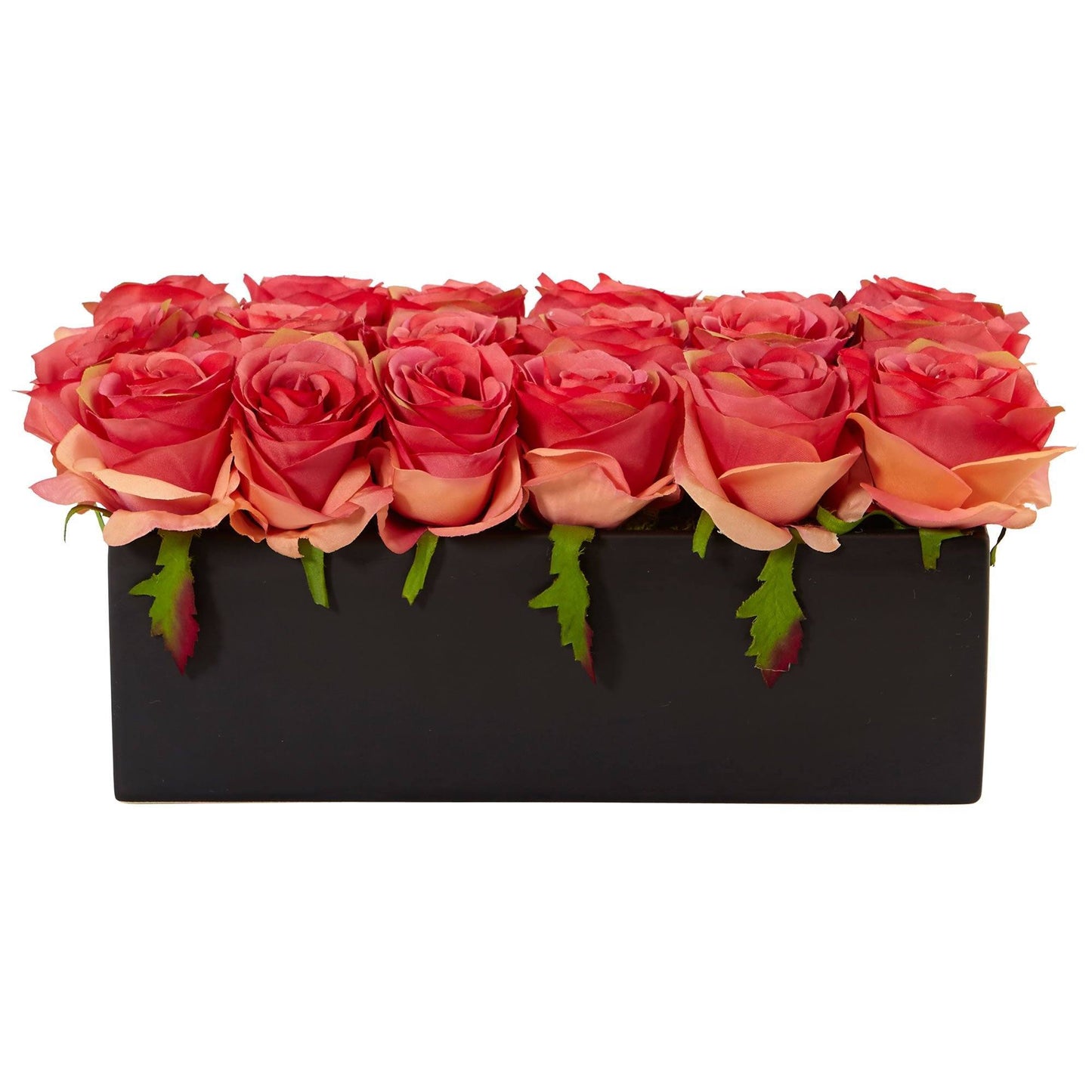 Roses dans un pot rectangulaire