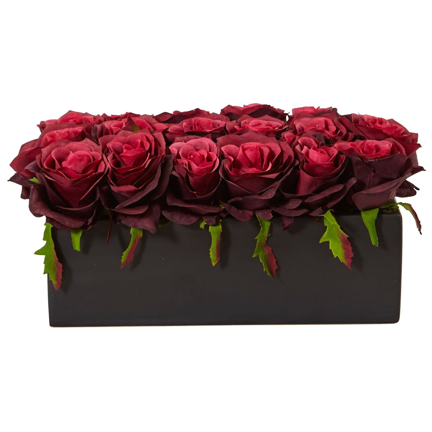 Roses dans un pot rectangulaire