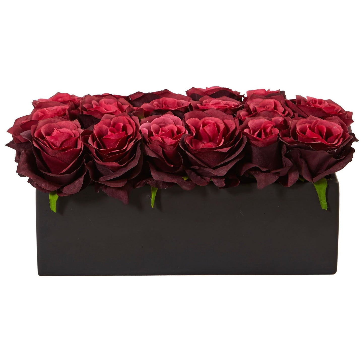 Roses dans un pot rectangulaire