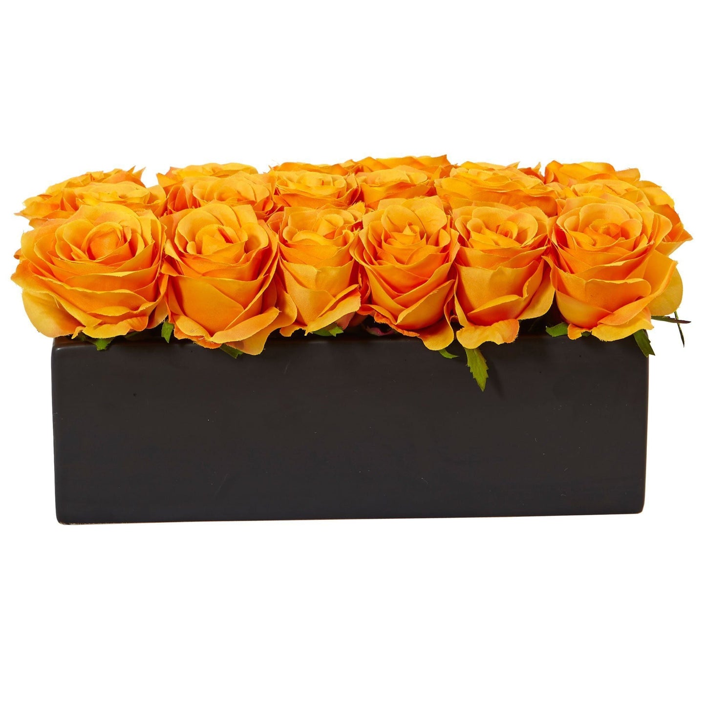 Roses dans un pot rectangulaire