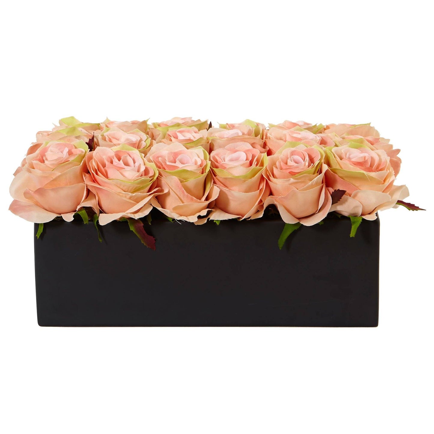 Roses dans un pot rectangulaire