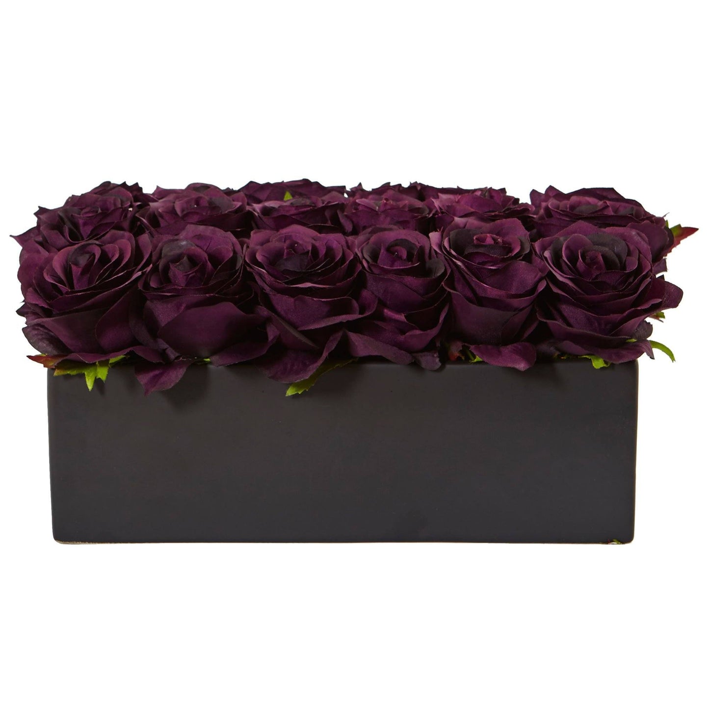 Roses dans un pot rectangulaire