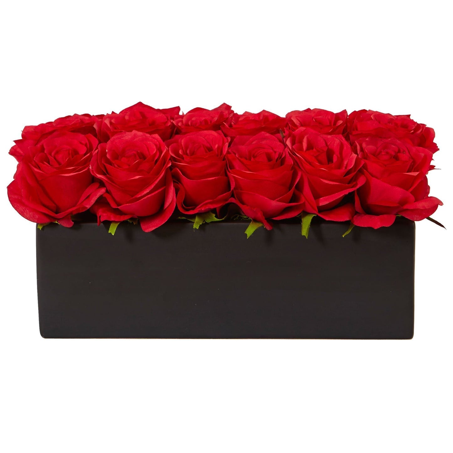 Roses dans un pot rectangulaire