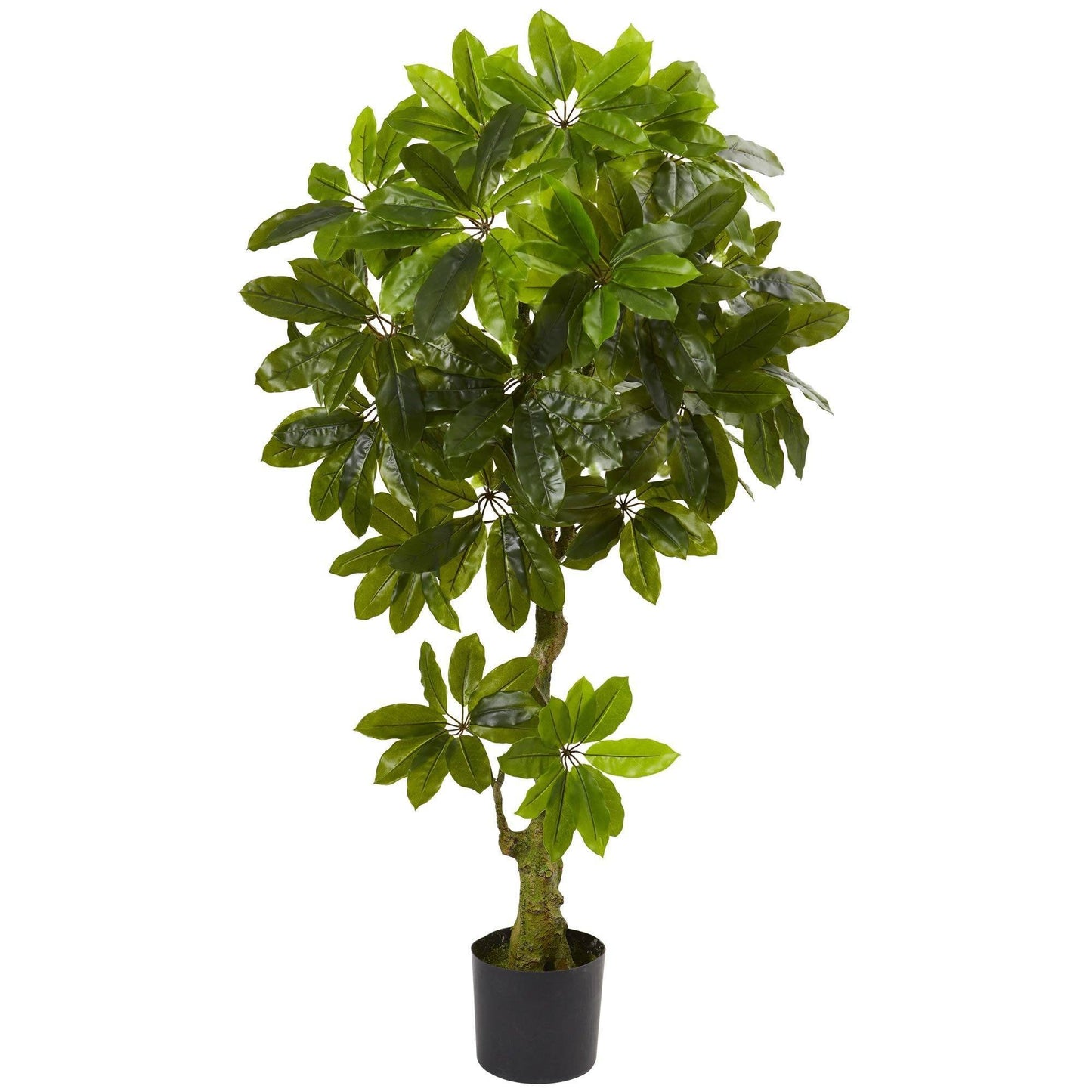 Arbre artificiel Schefflera résistant aux UV (intérieur/extérieur)