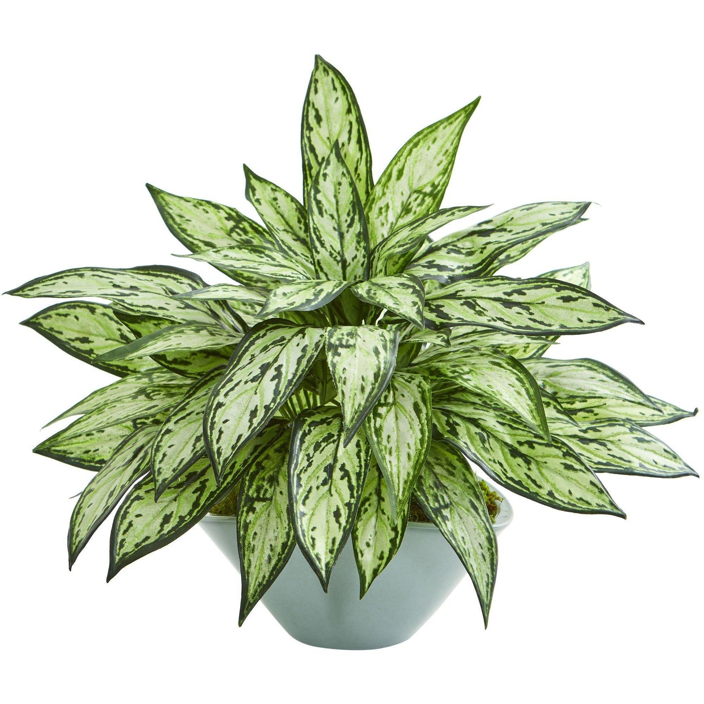 Plante artificielle Silver Queen dans un vase vert