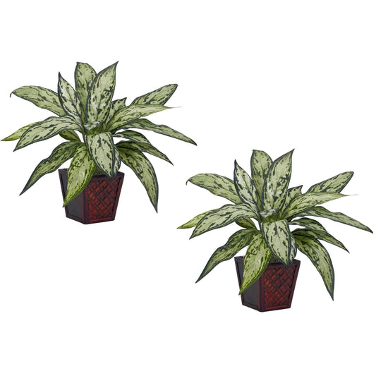 Plante en soie Silver Queen (lot de 2)