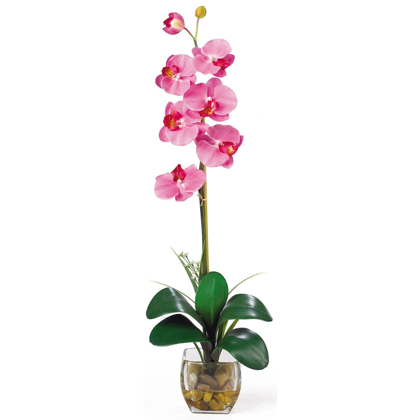 Arrangement floral en soie avec illusion liquide de Phalaenopsis simple