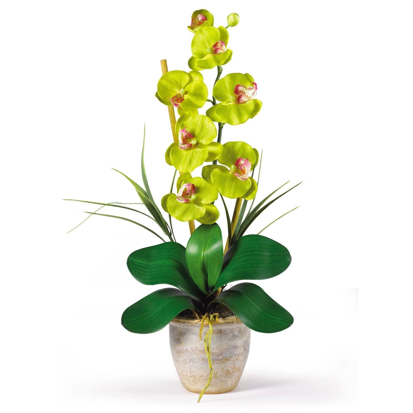 Arreglo de orquídeas Phalaenopsis de seda de un solo tallo