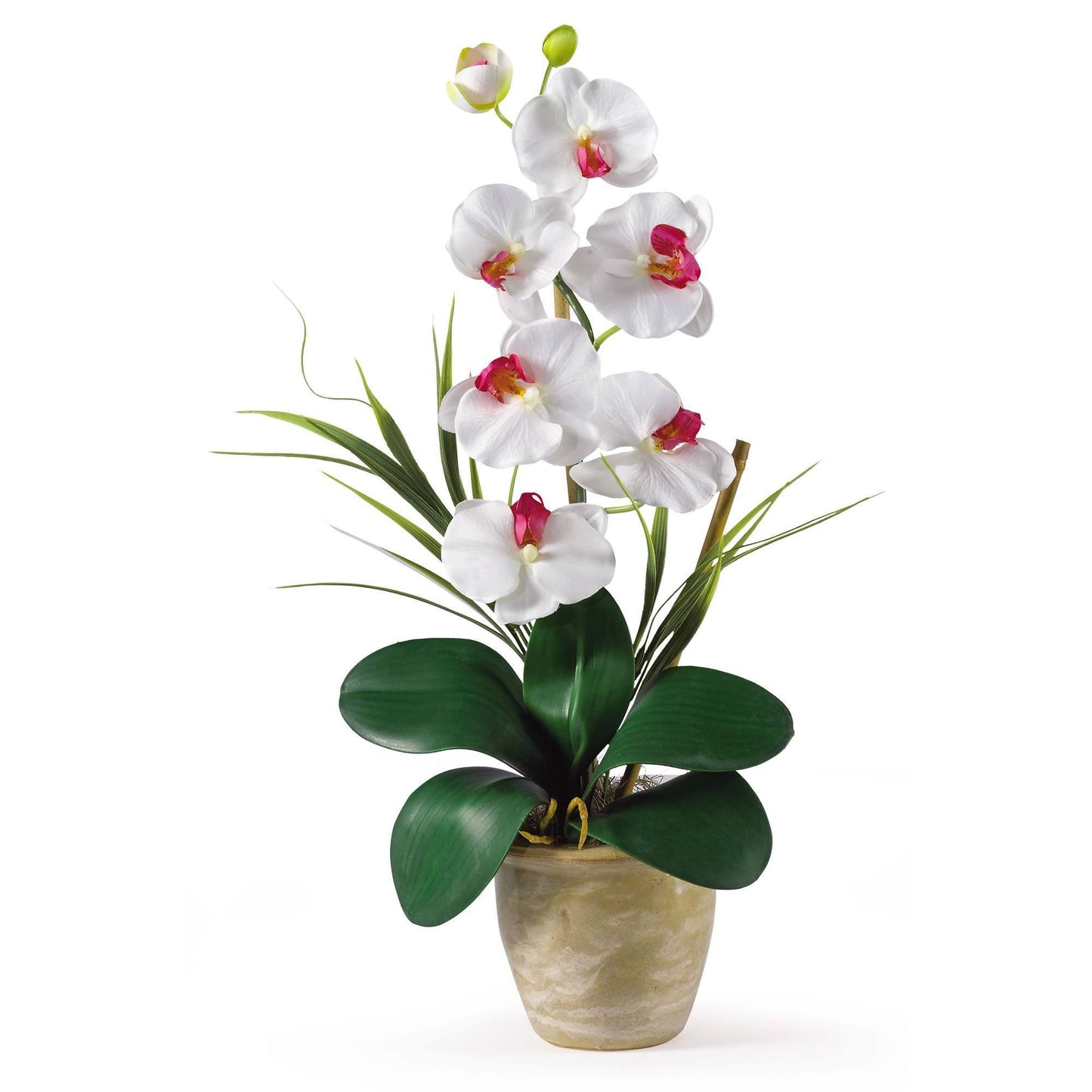 Arreglo de orquídeas Phalaenopsis de seda de un solo tallo