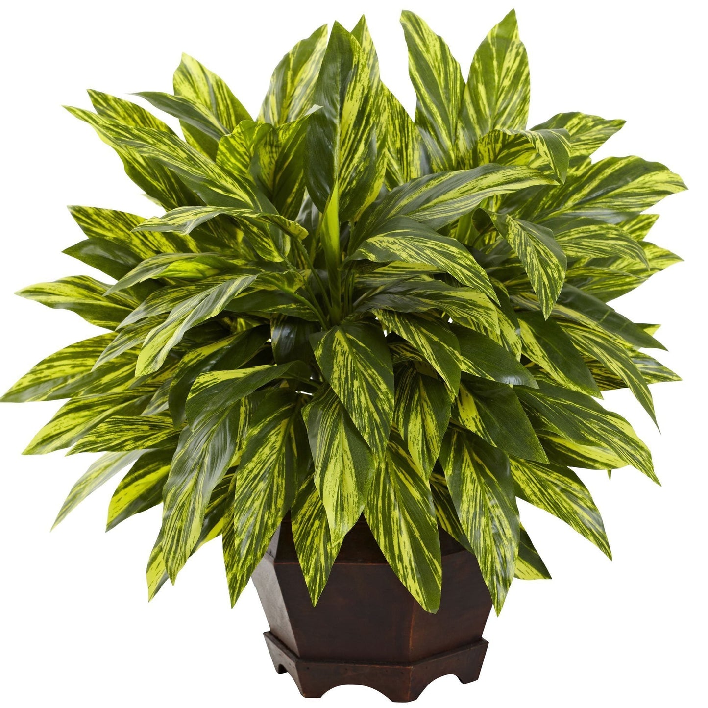 Tradescantia avec jardinière hexagonale en bois