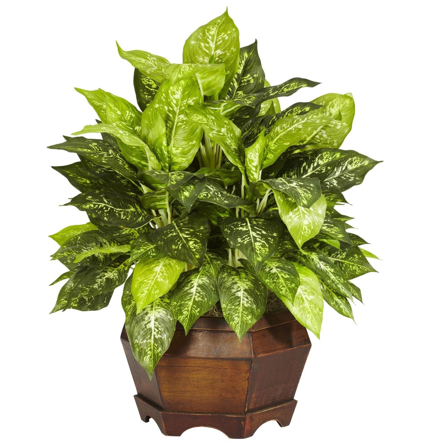 Dieffenbachia abigarrada con planta de seda hexagonal grande