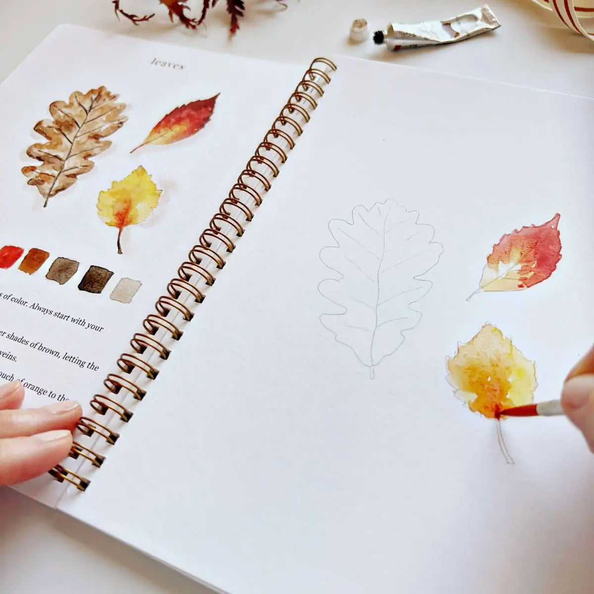 Watercolor Workbook - Autumn - emily lex studio