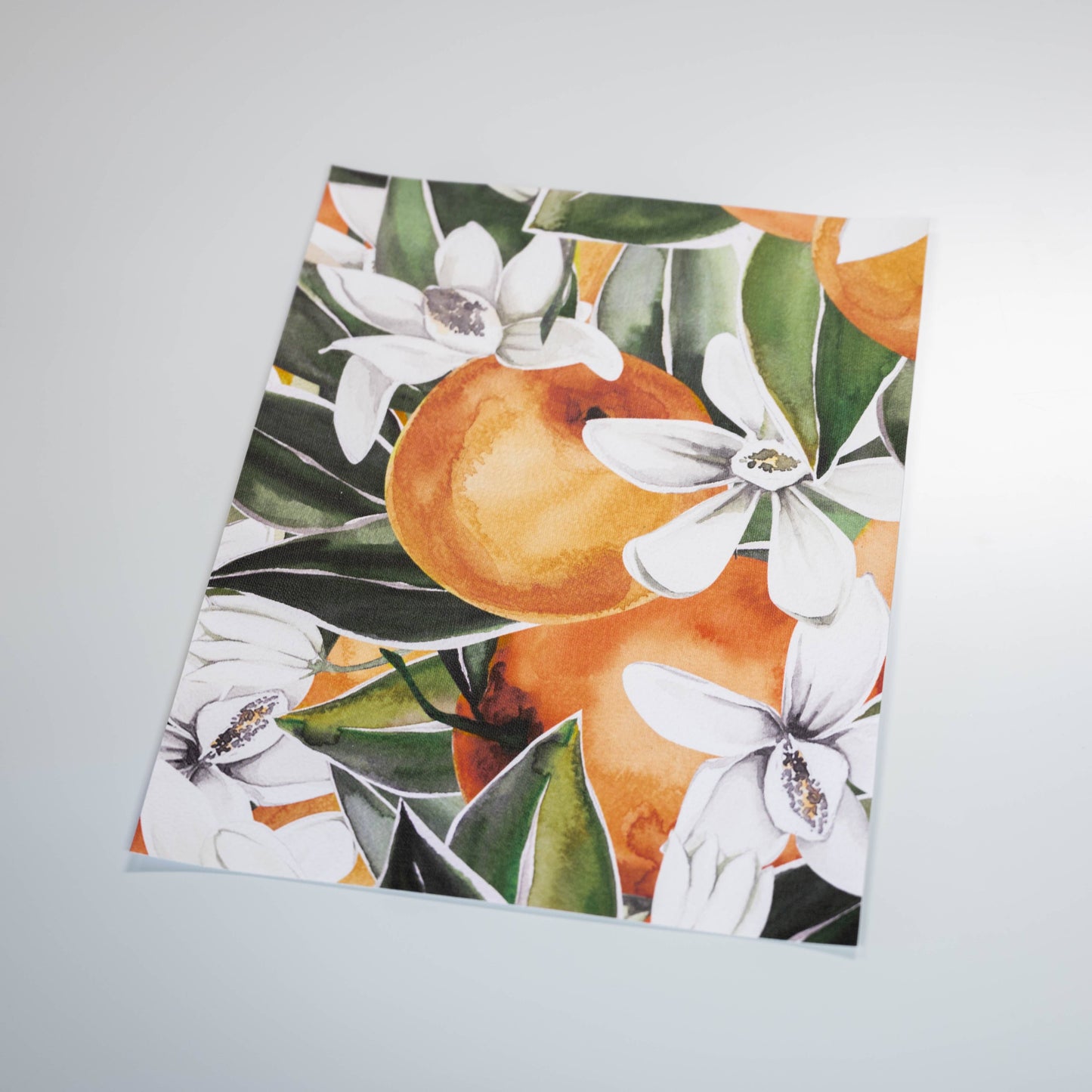 Citrus Study Mural Wallpaper - DIY Peel and Stick
