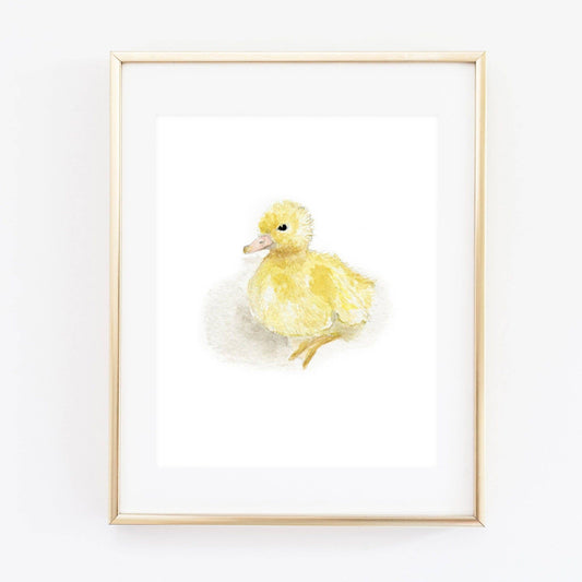 Art Print - Baby Duckling