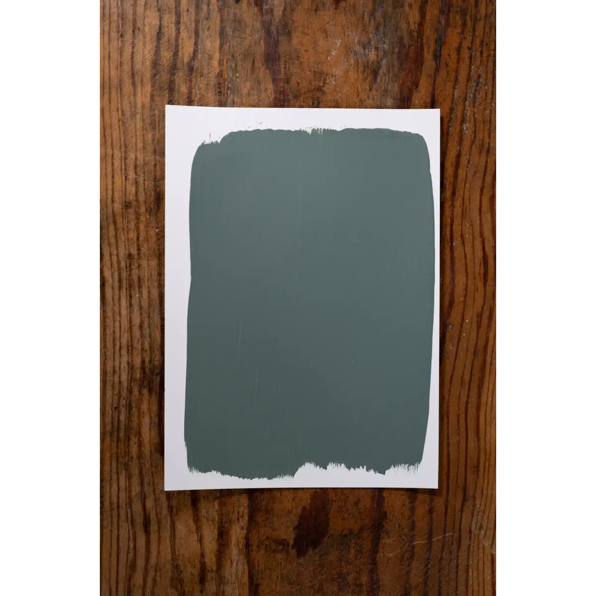 Babbling Brook - Manor Borne Wall Paint - Amy Howard At Home