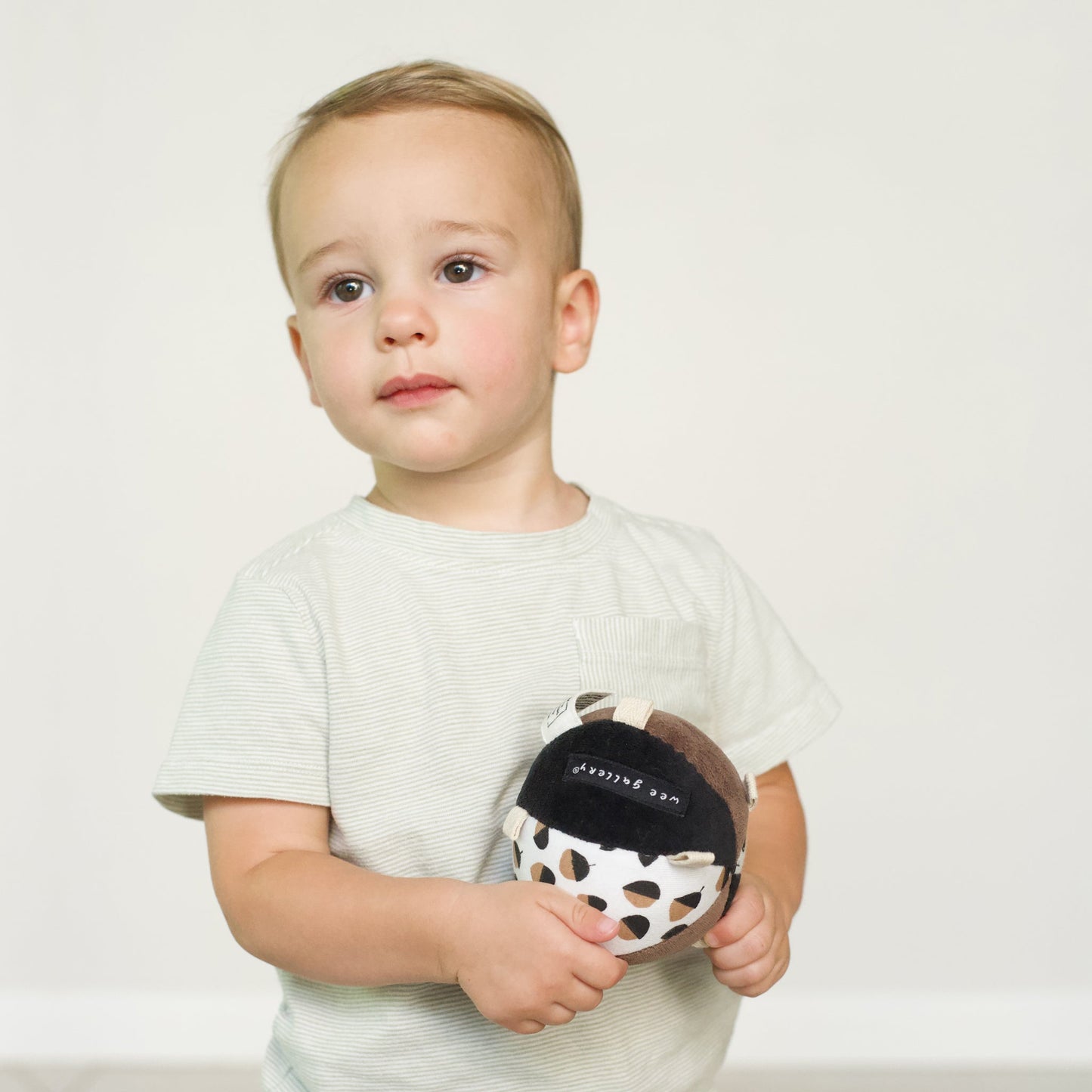 Taggy Ball with Rattle - Acorn