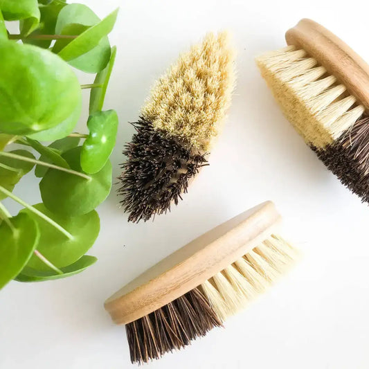 Bamboo Vegetable Brush - Sisal & Palm Bristles - Smile Boutiques