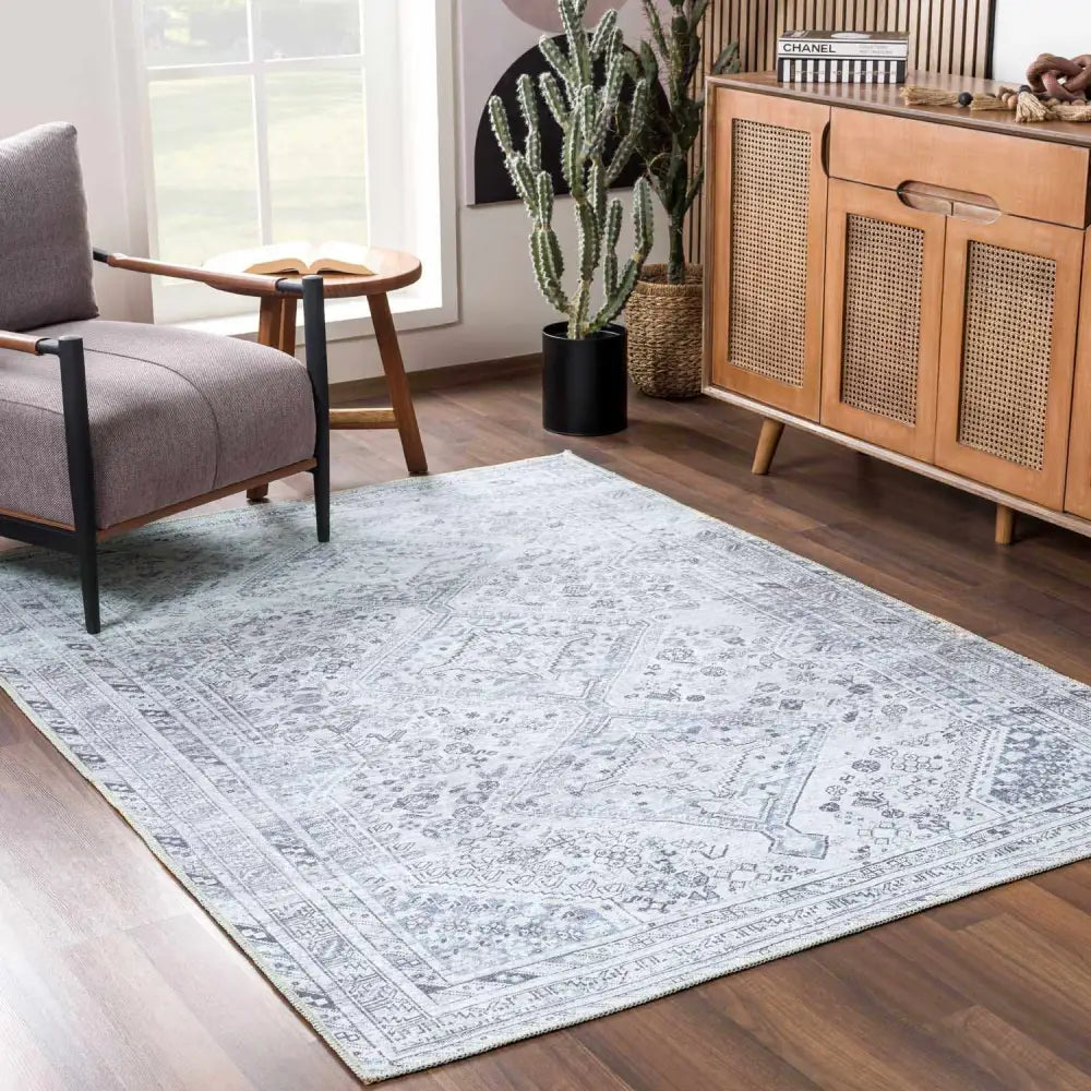 Barny Gray Washable Area Rug - Boutique Rugs
