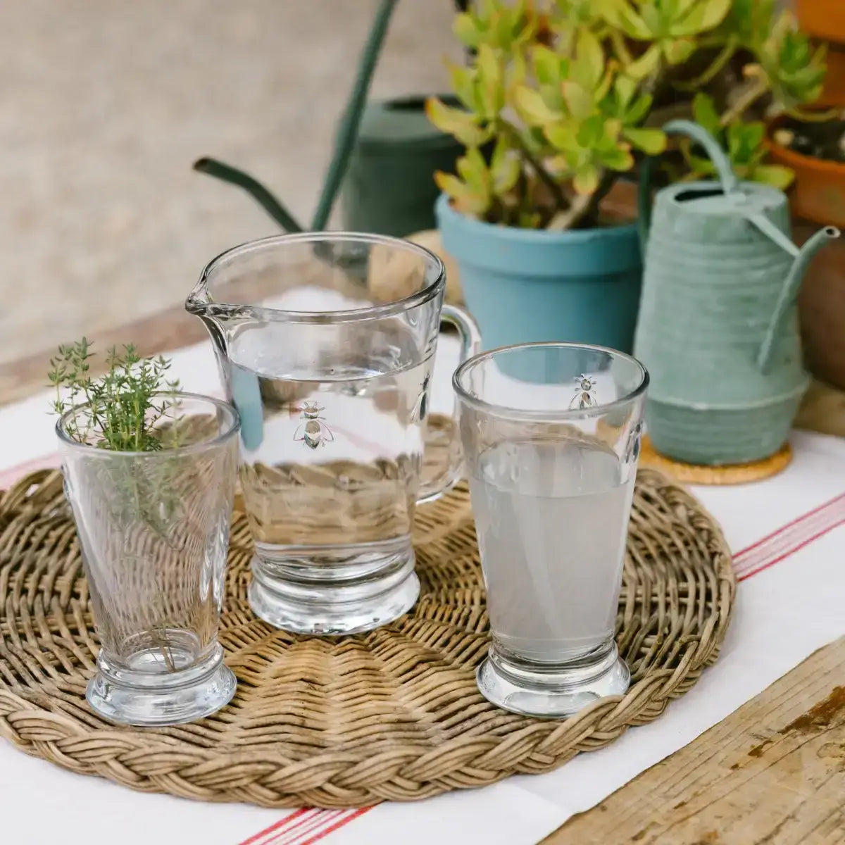 Bee Pitcher - La Rochere NA