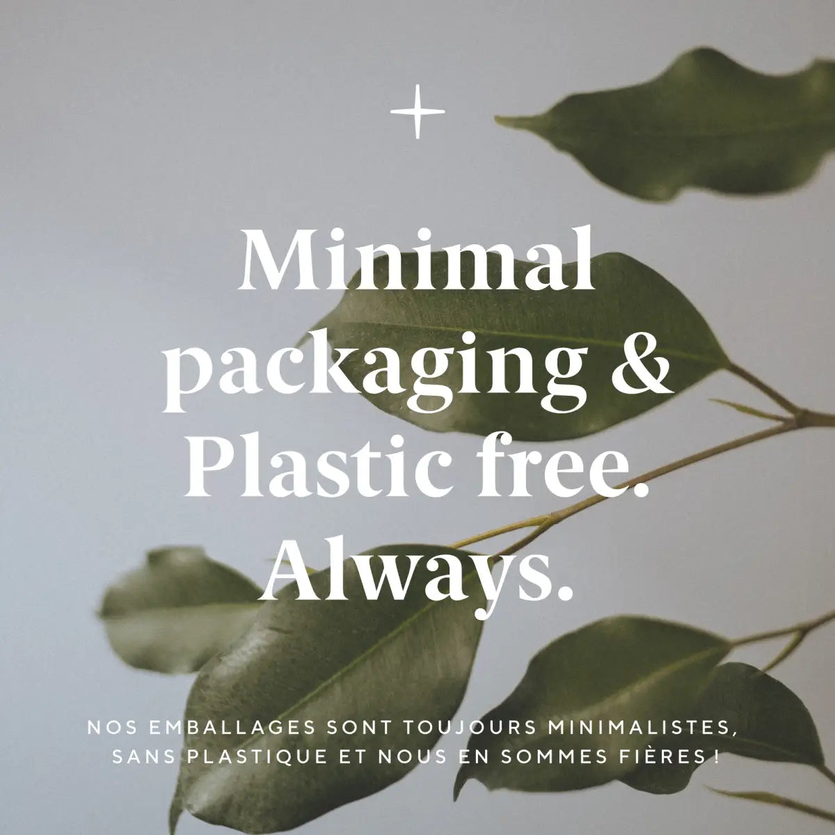 Beeswax Food Wraps Starter Set - Organic (pack of 3) - OLSEN + OLSEN