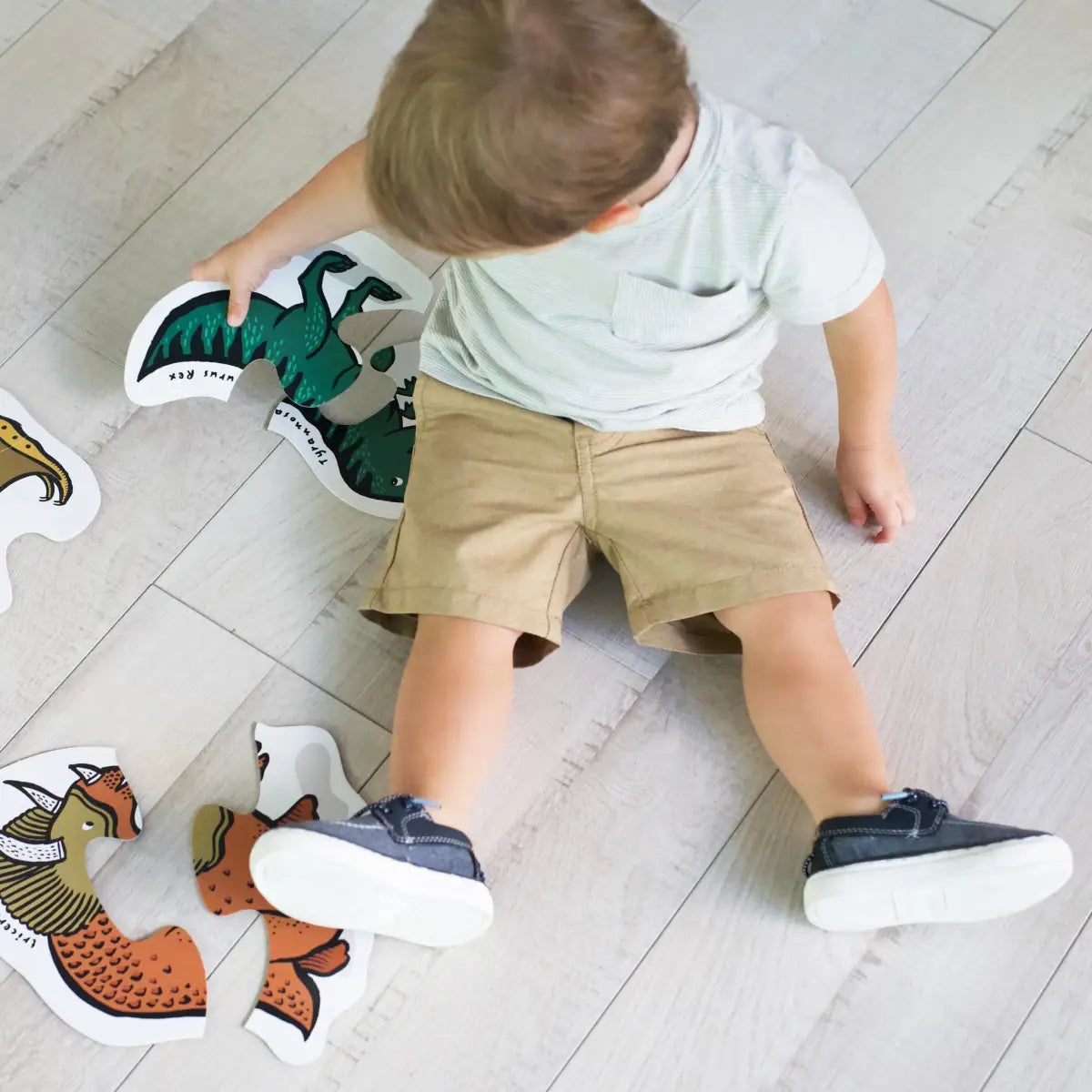 Beginner Puzzles - Dinos - Wee Gallery