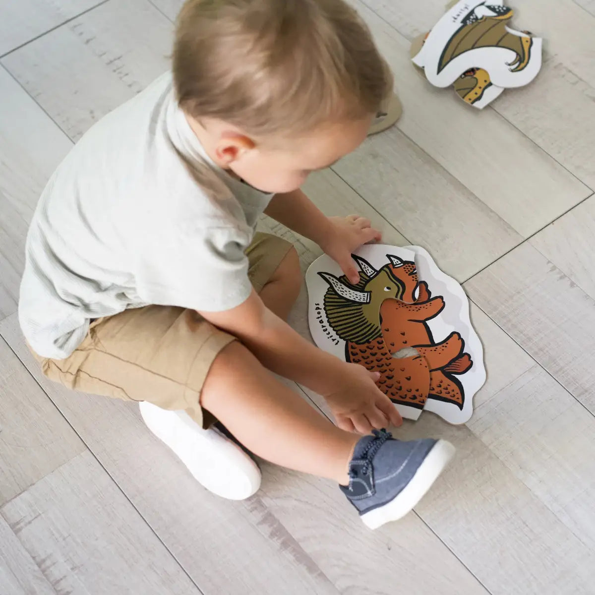 Beginner Puzzles - Dinos - Wee Gallery