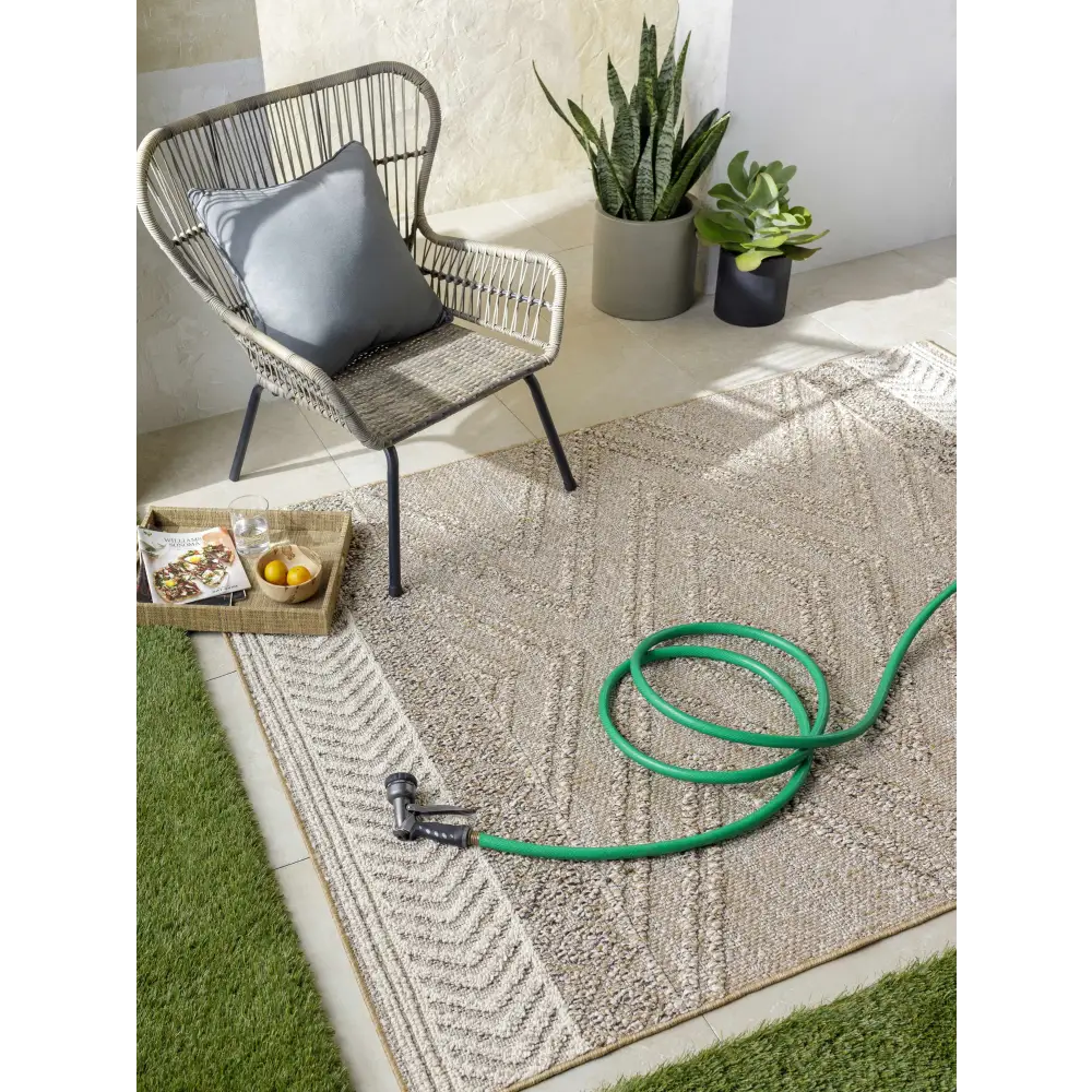 Beige Areli Area Rug - Boutique Rugs