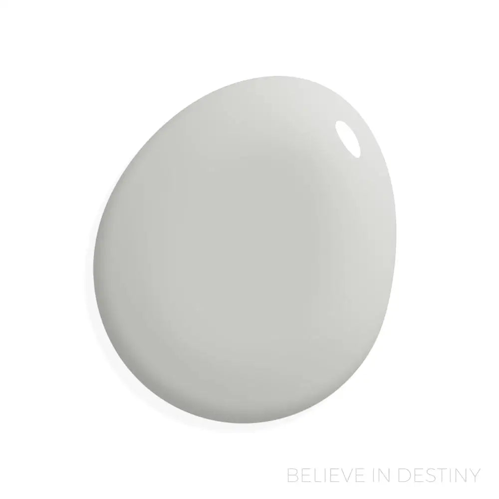 Believe in Destiny - Manor Borne Wall Paint - 1 Gallon / 164oz - Amy Howard At Home
