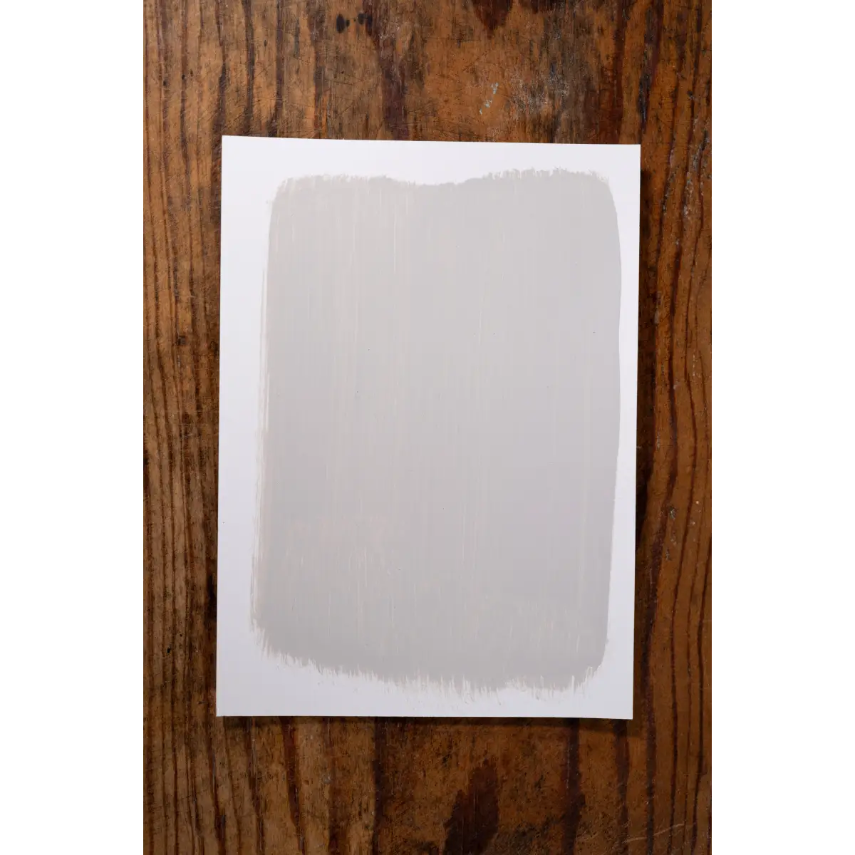 Believe in Destiny - Manor Borne Wall Paint - Amy Howard At Home