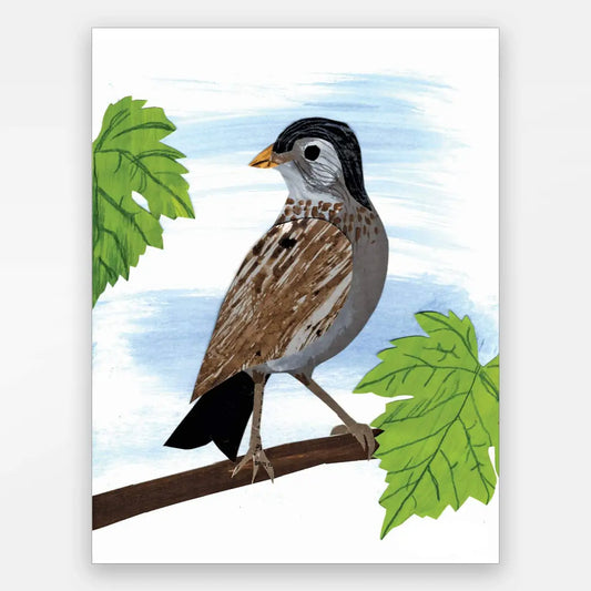 Bird Card (blank) - Paste