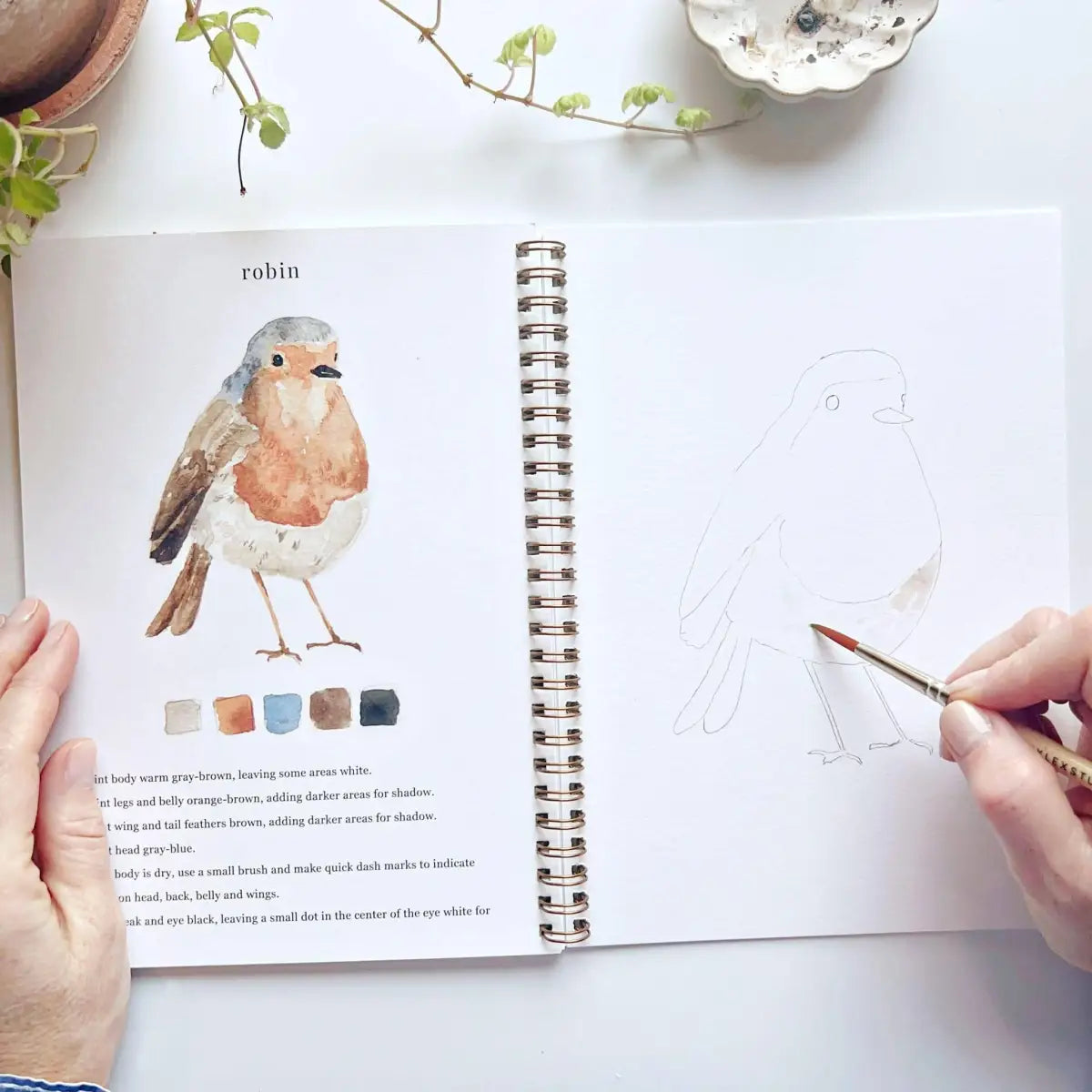 Watercolor Workbook - Birds - Emily Lex - emily lex studio