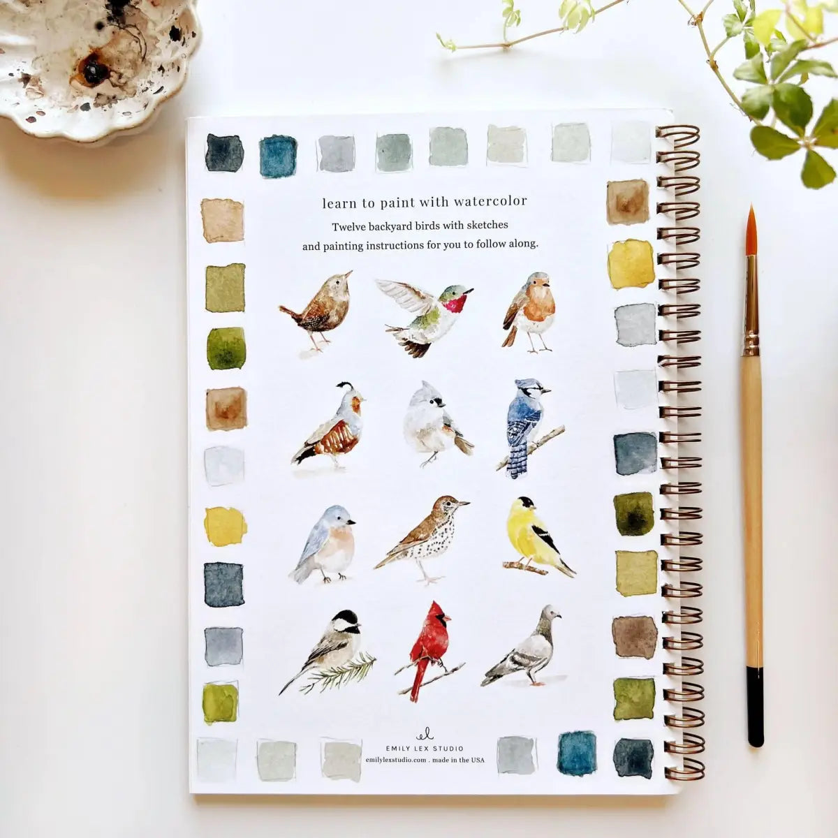 Watercolor Workbook - Birds - Emily Lex - emily lex studio
