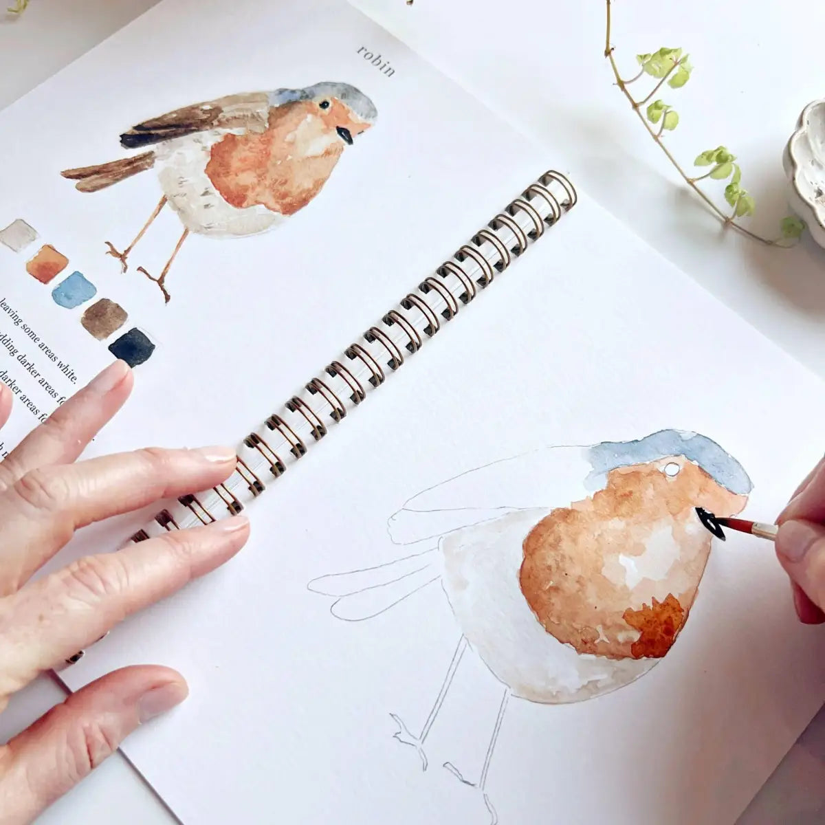 Watercolor Workbook - Birds - Emily Lex - emily lex studio