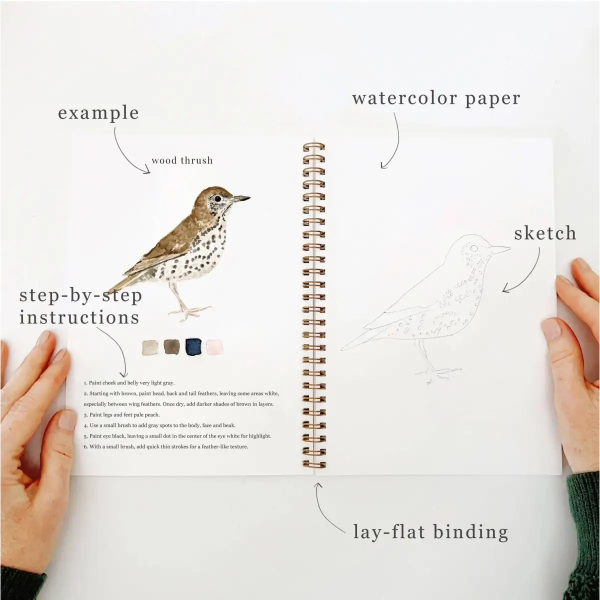 Watercolor Workbook - Birds - Emily Lex - emily lex studio