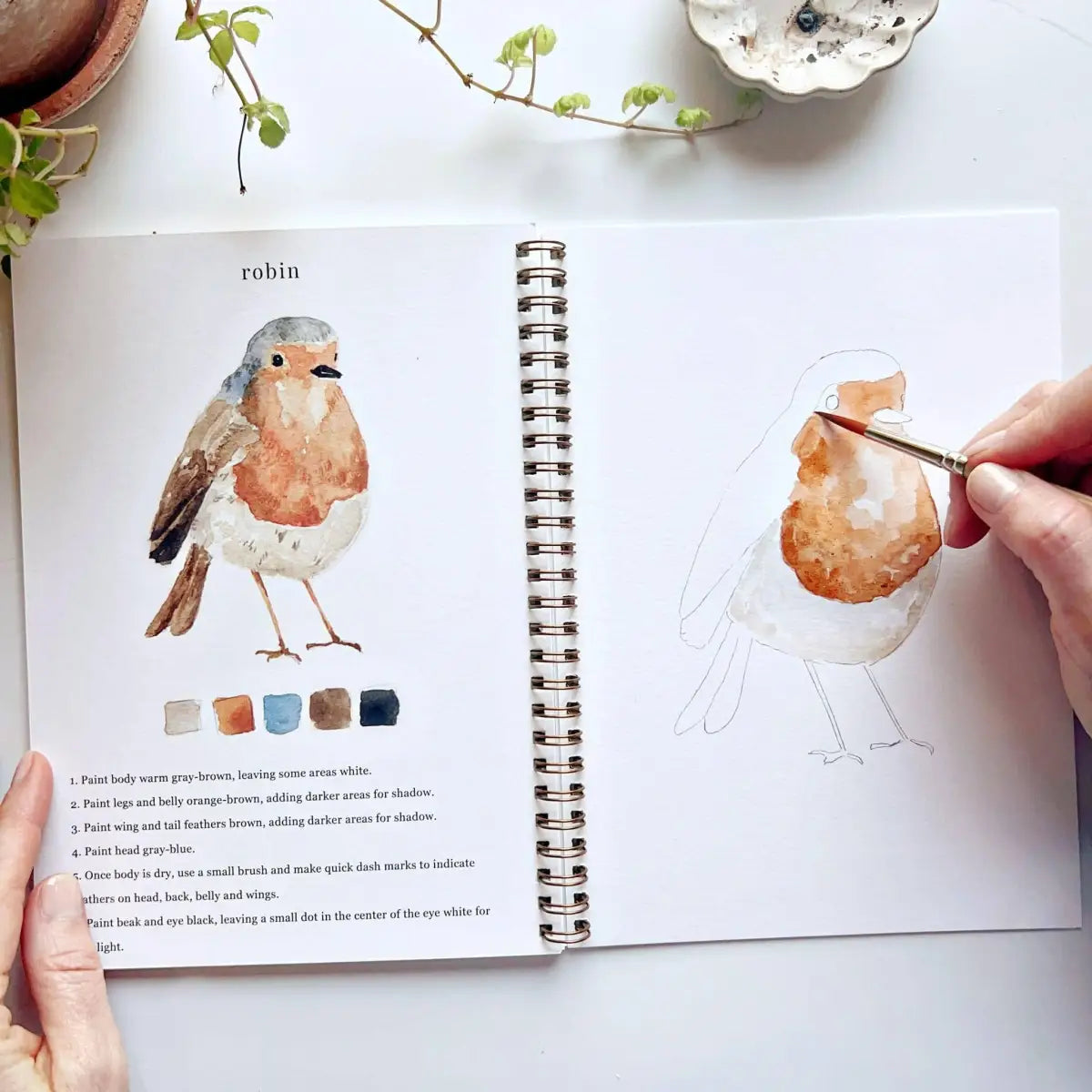 Watercolor Workbook - Birds - Emily Lex - emily lex studio