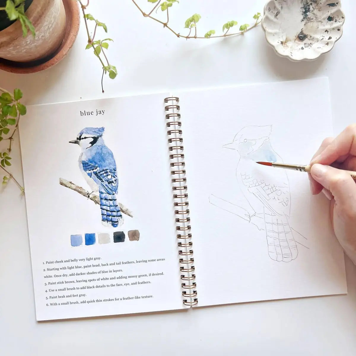 Watercolor Workbook - Birds - Emily Lex - emily lex studio