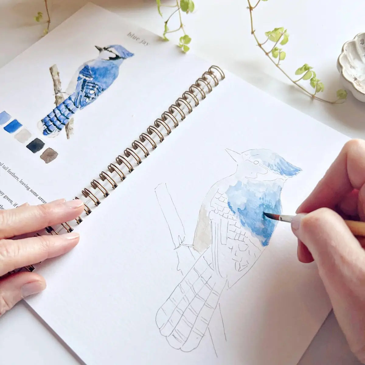 Watercolor Workbook - Birds - Emily Lex - emily lex studio