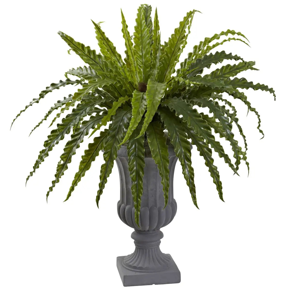 Birdsnest Fern with Urn - Nearly Natural