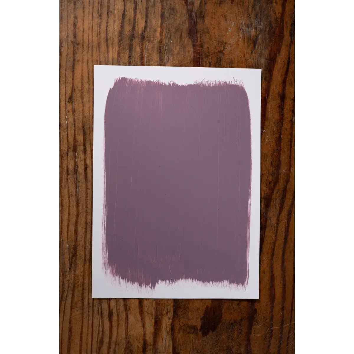Birthday Hugs - Manor Borne Wall Paint - Amy Howard At Home