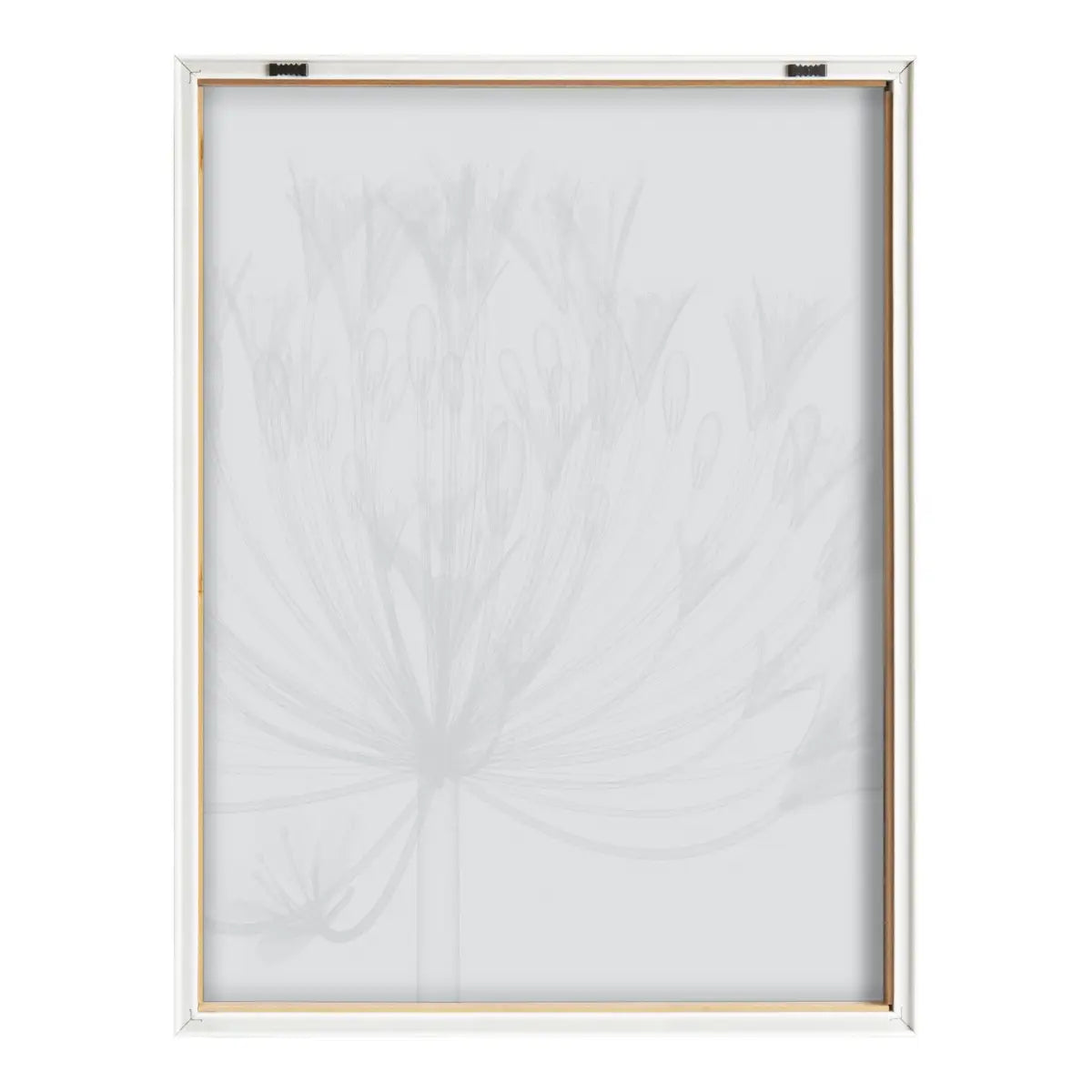 Blake Bell Agapanthus X Ray Floral BW Framed Printed Art - Natural / 18x24 - kateandlaurel