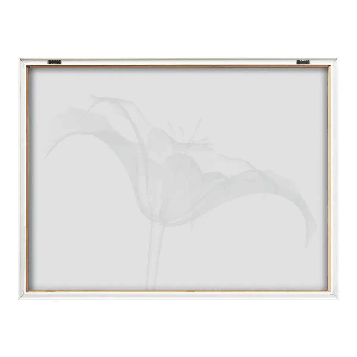 Lily X Ray Floral BW Framed Printed Art - Natural / 18x24 - kateandlaurel