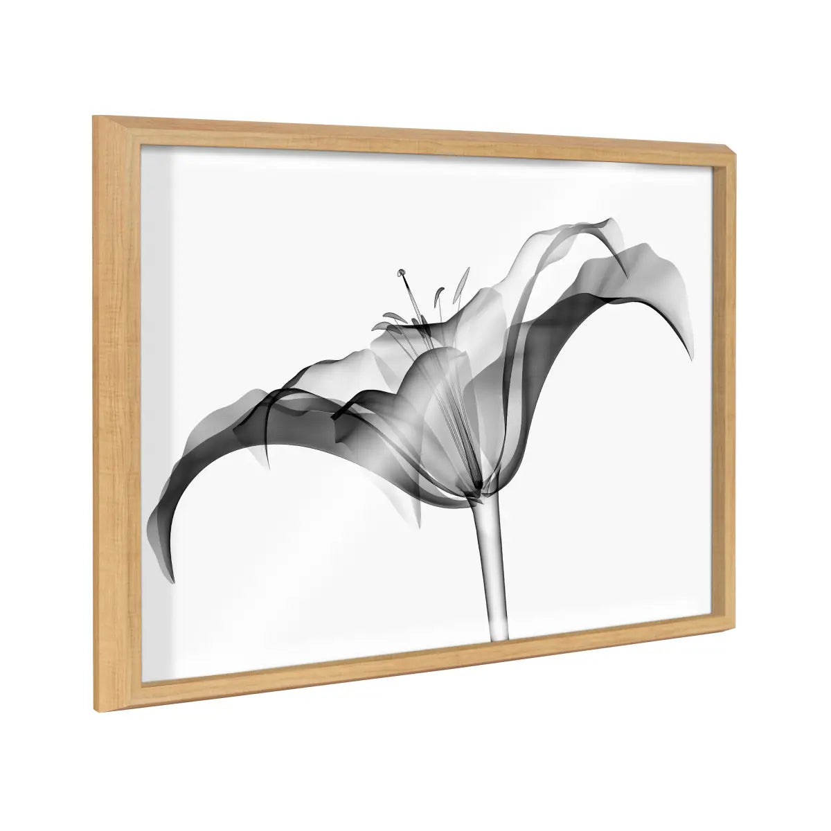 Lily X Ray Floral BW Framed Printed Art - Natural / 18x24 - kateandlaurel