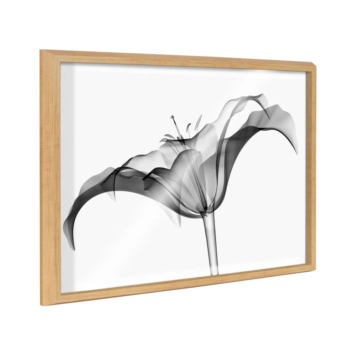 Lily X Ray Floral BW Framed Printed Art - Natural / 18x24 - kateandlaurel