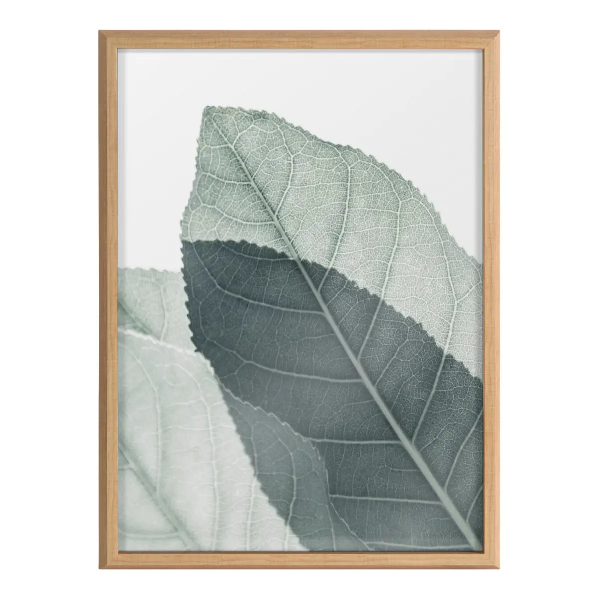 Framed Printed Glass - Modern Green Leaf Botanical - kateandlaurel