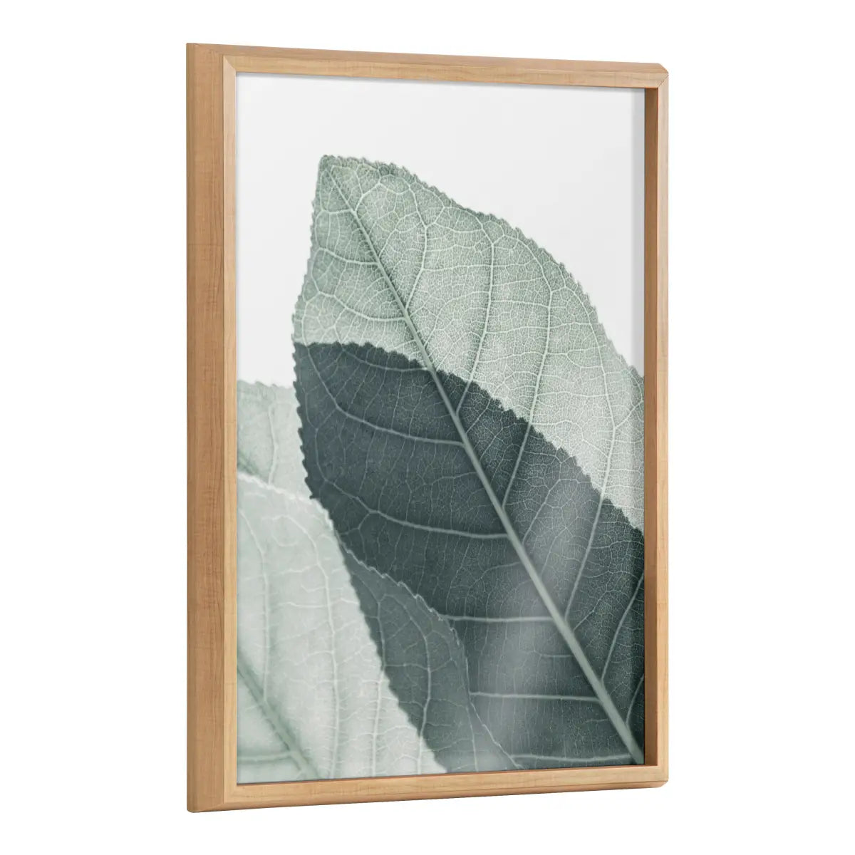 Framed Printed Glass - Modern Green Leaf Botanical - kateandlaurel