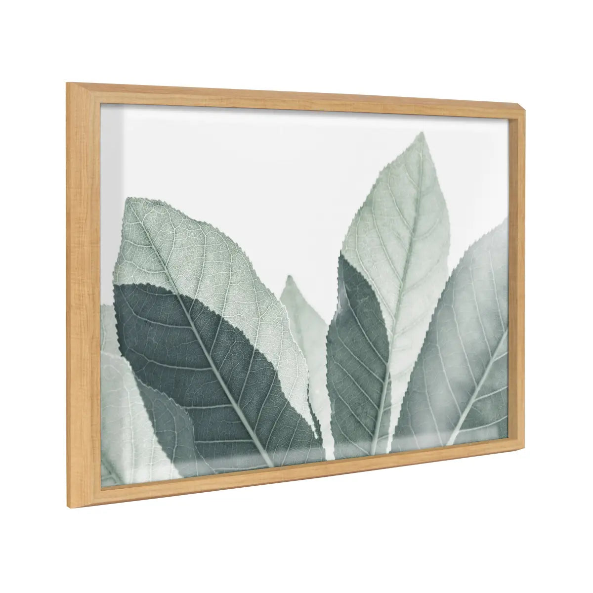 Framed Printed Glass - Modern Green Leaf Botanical - kateandlaurel