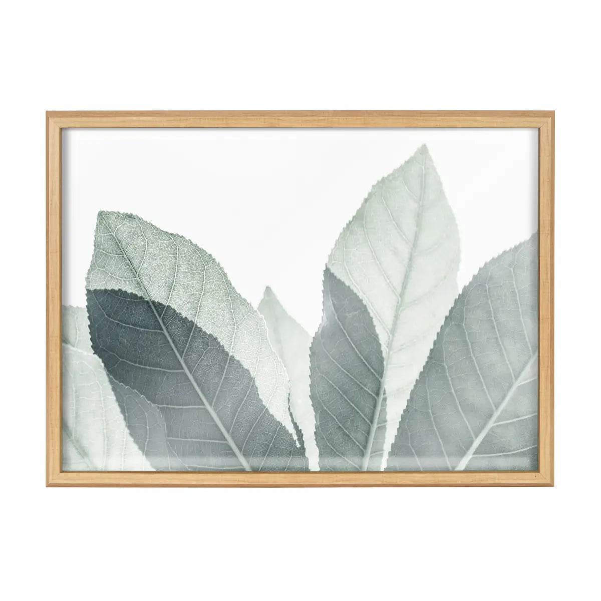 Framed Printed Glass - Modern Green Leaf Botanical - kateandlaurel