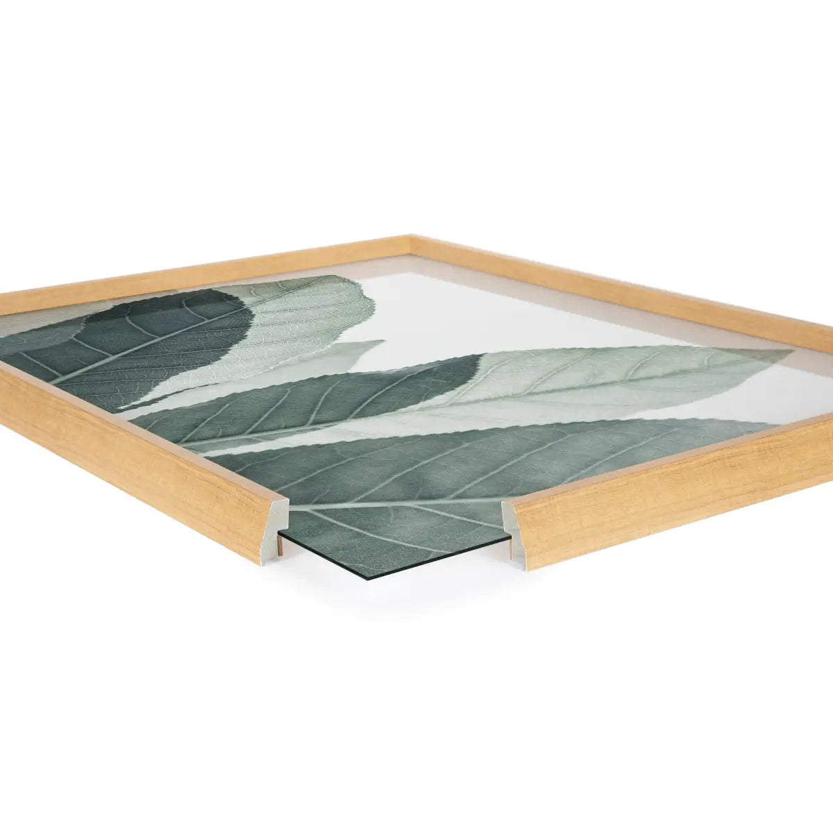 Framed Printed Glass - Modern Green Leaf Botanical - kateandlaurel