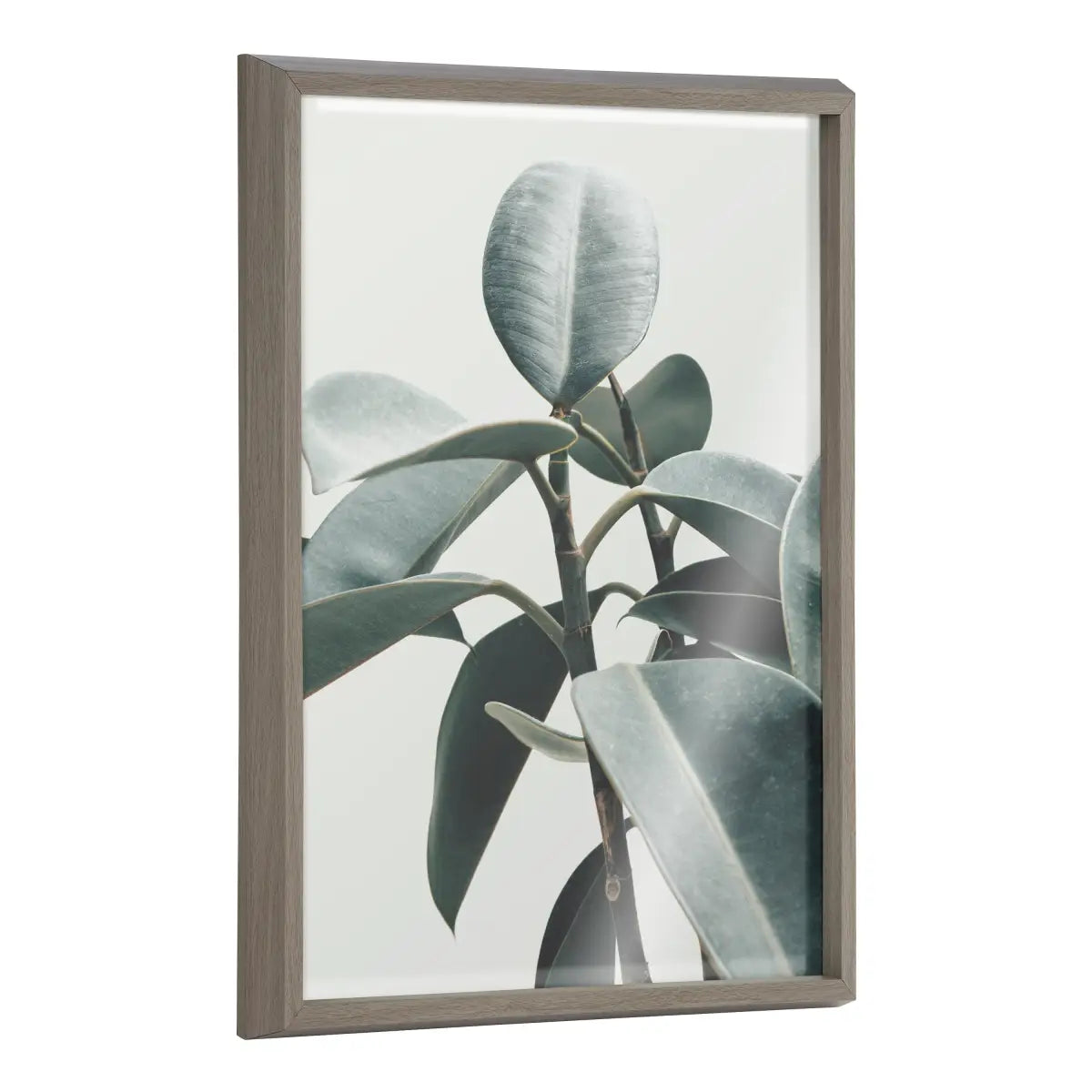 Framed Printed Glass - Houseplant - kateandlaurel
