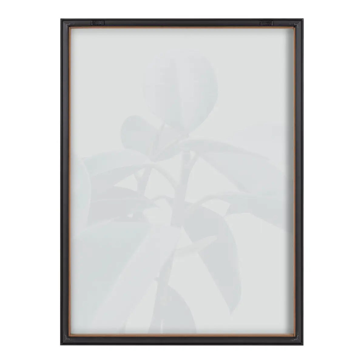 Framed Printed Glass - Houseplant - kateandlaurel
